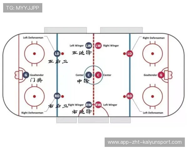 冰球前锋强撞破门,裁判示意有效 冰球前锋强撞破门,裁判示意有效