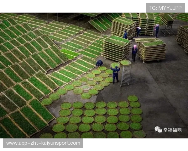 福建福鼎商家服务失范，社会舆论压力大，福鼎电商